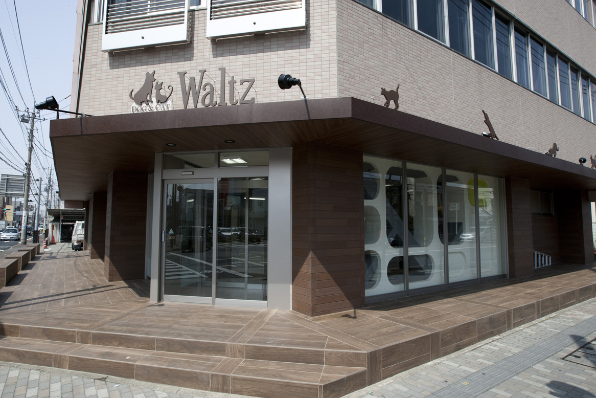 DOG&CAT Waltz